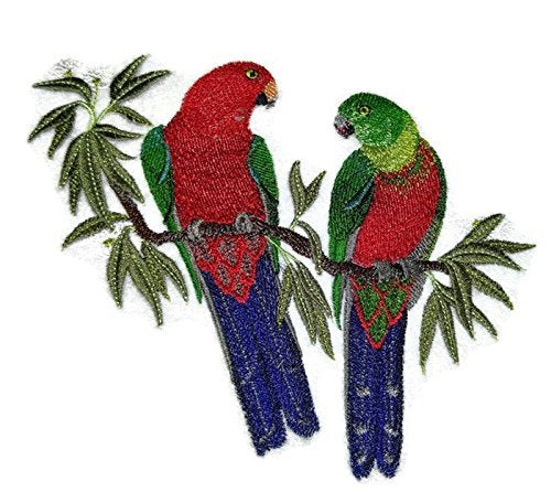 Nature Weaved in Threads, Amazing Birds Kingdom [Australian King Parrots in Eucalyptus] [Custom and Unique] Embroidered Iron on/Sew Patch (6.6" x 5.9") [Made in USA]