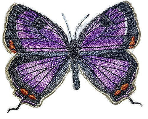 Parche bordado para planchar o coser con mariposas coloridas [Colorado Hairstreak], personalizado y único, de 9,4 x 7,3 cm. Hecho en EE. UU.