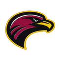 Eagle patch