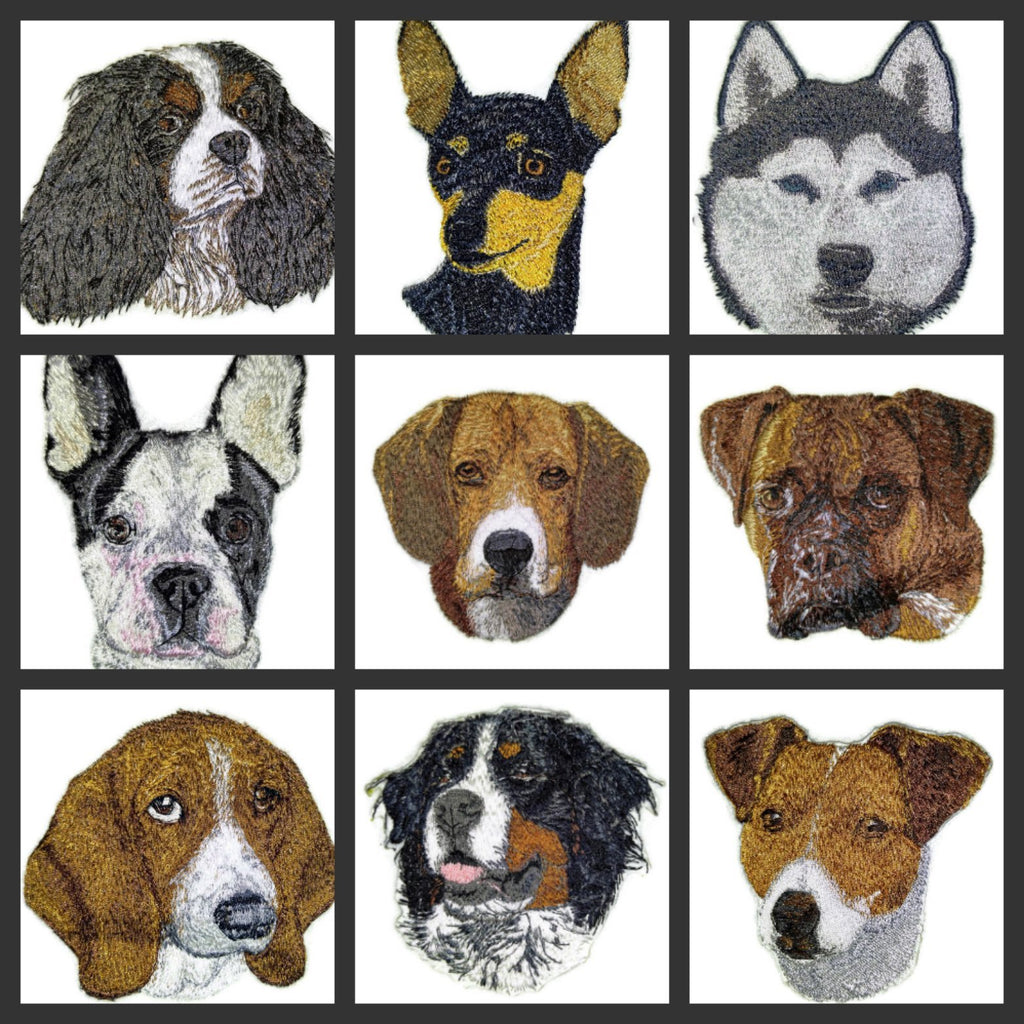 Amazing Dog Faces [ Schipperke Dog Face] Embroidery Iron On/Sew Patch (3.83" x 4")[Made in USA]