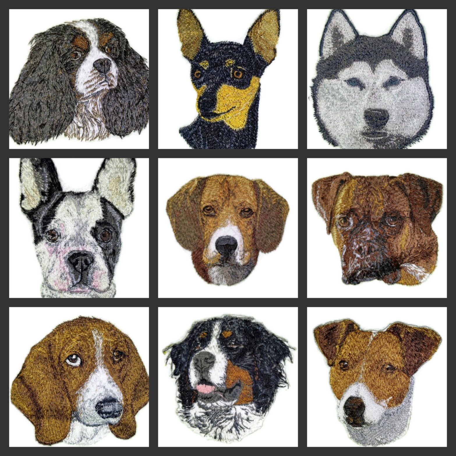 Amazing Dog Faces [ Schipperke Dog Face] Embroidery Iron On/Sew Patch (3.83" x 4")[Made in USA]