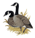 Canada Goose Pair on The Shore â Applique for Jackets, Backpacks, DIY Crafts â (4.85" x 5.47") Parrot for Clothing & Accessories embroidered...