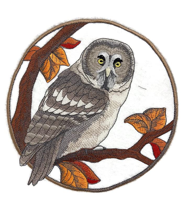 Parche bordado para planchar y coser "Aves personalizadas Beyond Vision" [Búho gris en otoño] (17,5 cm de ancho x 17,5 cm)