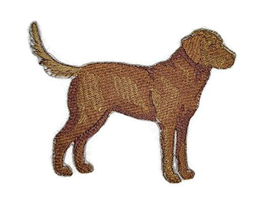 Impresionantes retratos de perros personalizados [Chesapeake Bay Retriever] Parche bordado para planchar o coser [12,7 cm x 10,9 cm] [Hecho en EE. UU.]