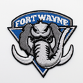 Fort Wayne patch cleanup