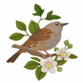 Embroidered Dunnock bird on a blackberry branch with green leaves and white blossoms on a white background
