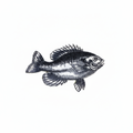 Fish Embroidered Patch - Amazon compliant product photo on white background