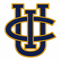 Interlocking navy and gold patch