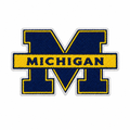 Michigan block M patch cleanup