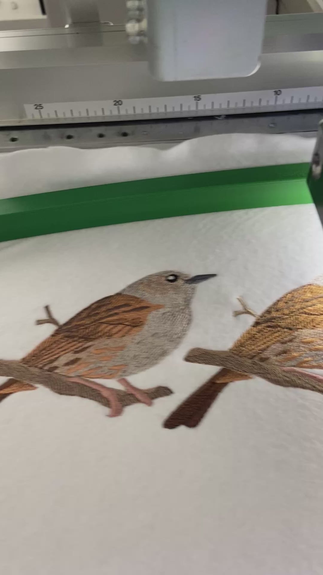 Dunnock Bird Embroidered Patch | 5.2 × 3.5 in | Iron-On or Sew-On