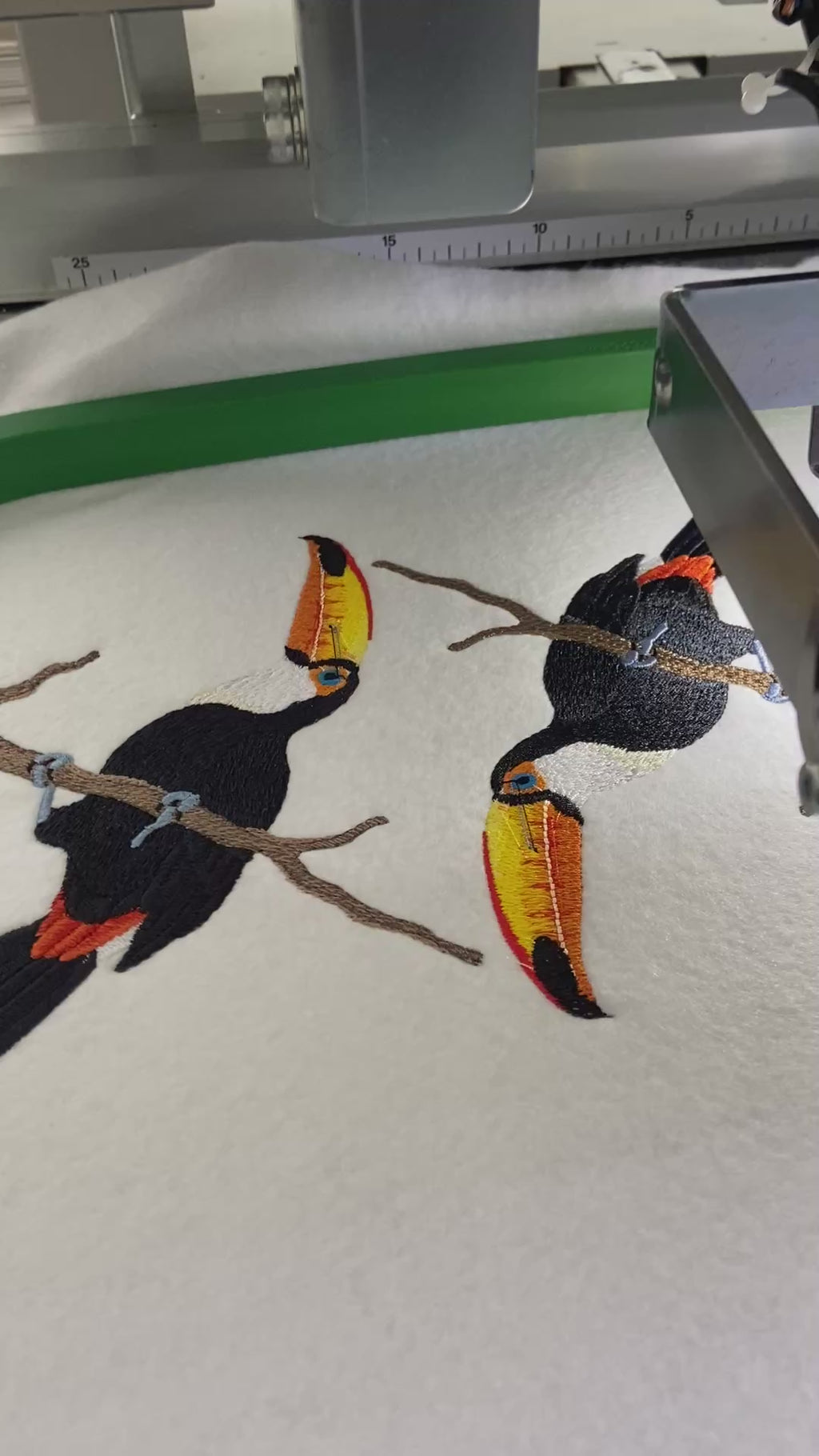 Toco Toucan4.9" x 6.4" Embroidered Patch – Tropical Bird on Leafy Branch Iron-On/Sew-On Patch  Made in USA