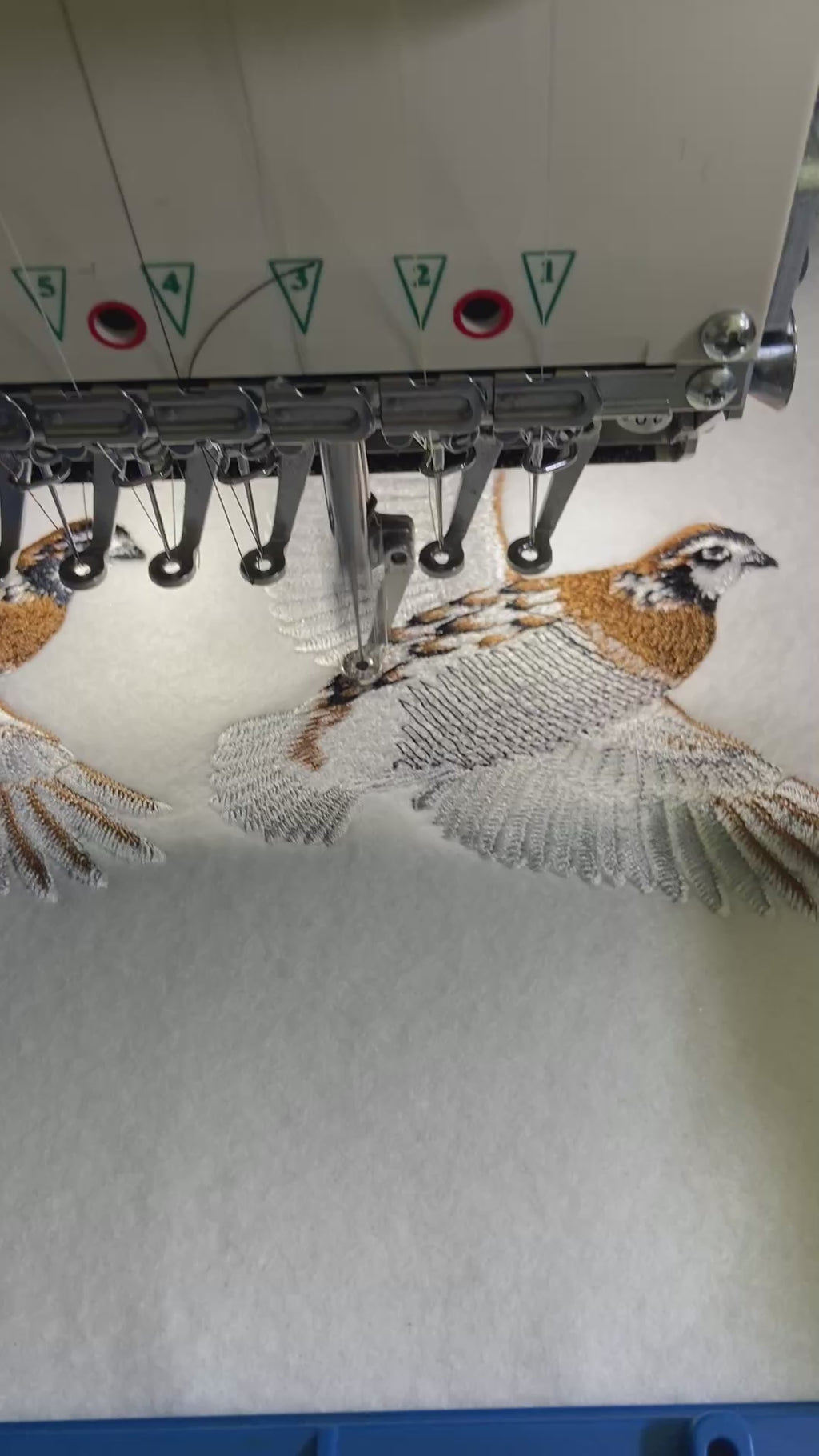 Bobwhite Quail Bird Embroidered Iron-On or Sew-On Patch – 4.8 x 6.2 in