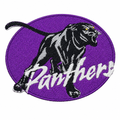 Primary patch image 1