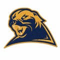 Primary patch image 3