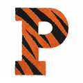 Princeton Tigers Embroidered Patch — Studio White