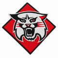 Red diamond cat patch cleanup