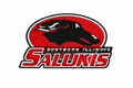 Salukis patch cleanup