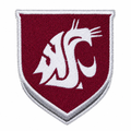 Tennessee Tech patch