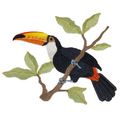 Toucan patch photo cleanup