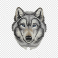 Beyond Vision Animal Striking Wild Wolf Embroidery / [6.8" x 8.9" ] embroidered iron-on patch